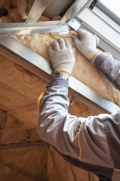 Types of Insulation We Offer in Williams, CA
