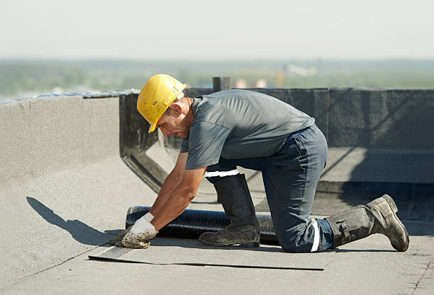 Best Insulation Maintenance and Repair in Williams, CA